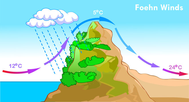 Chinook and Foehn Winds