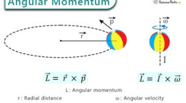 Angular Momentum in Physics and Its Applications