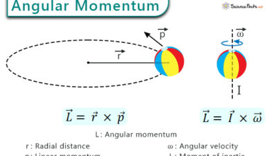 Angular Momentum in Physics and Its Applications