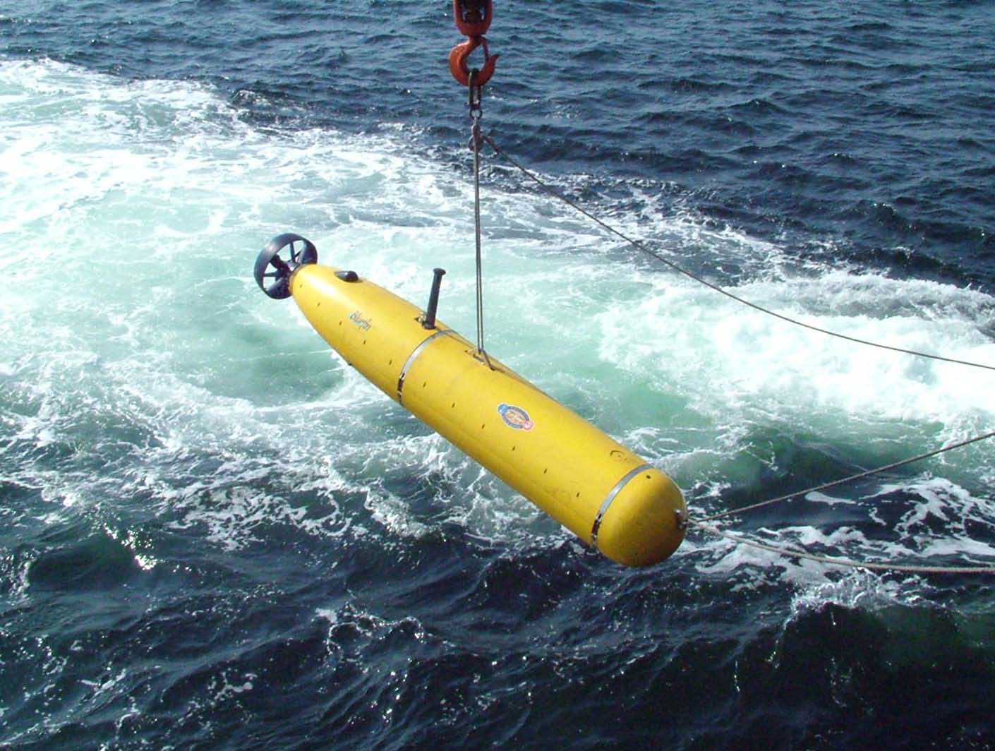 Autonomous Underwater Vehicles (AUVs)