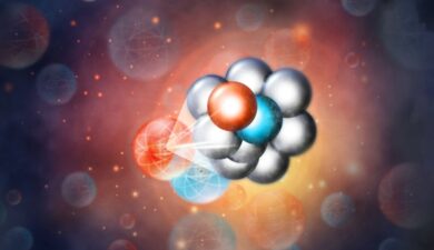 Quarks: The Building Blocks of the Universe