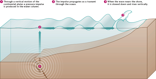 Tectonic Activity: The Primary Cause of Tsunamis