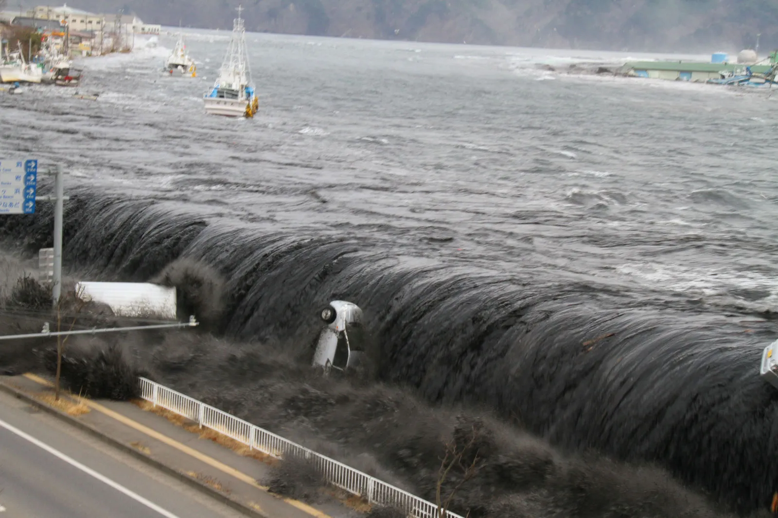 The 2011 Tōhoku Tsunami