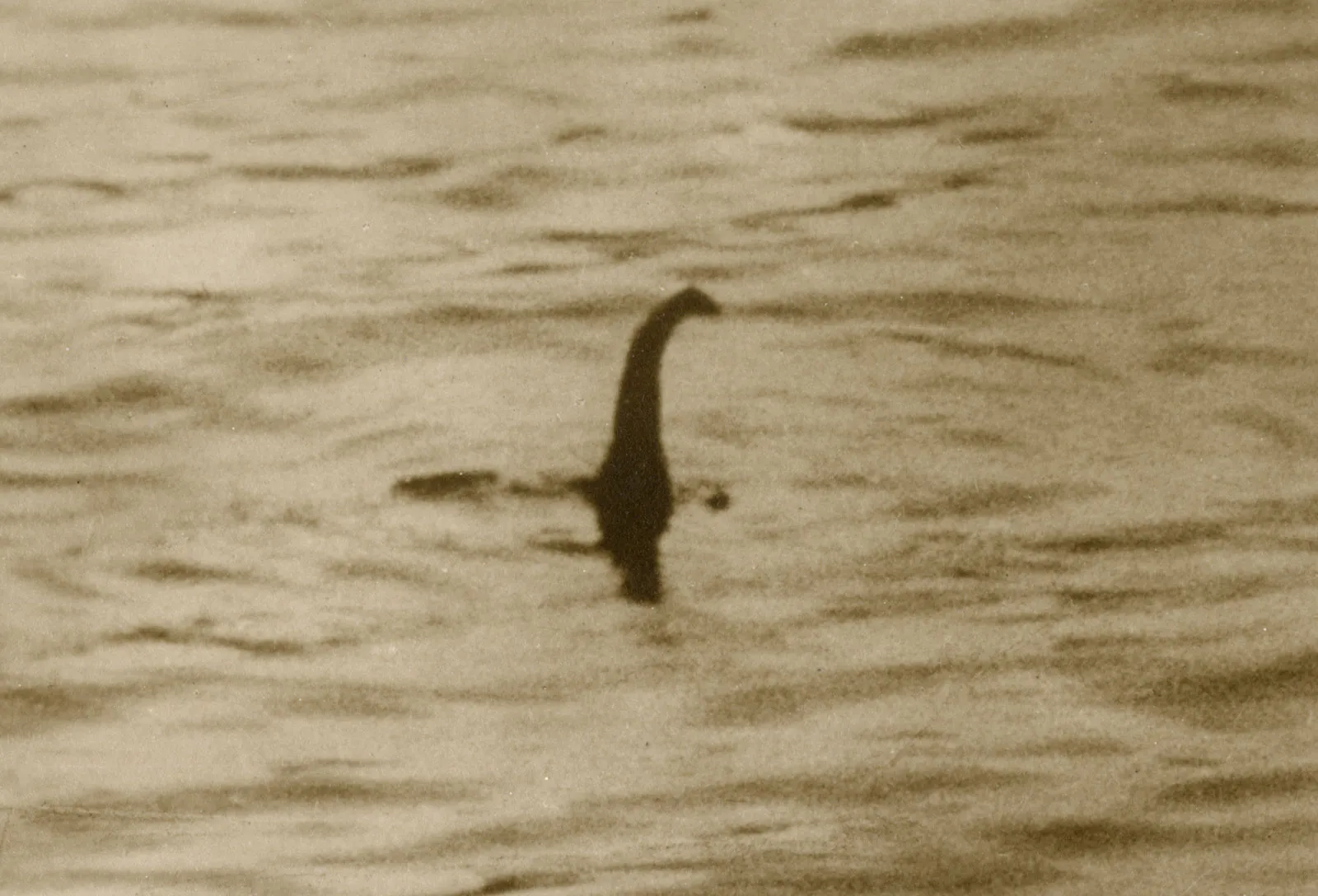 The Loch Ness Monster