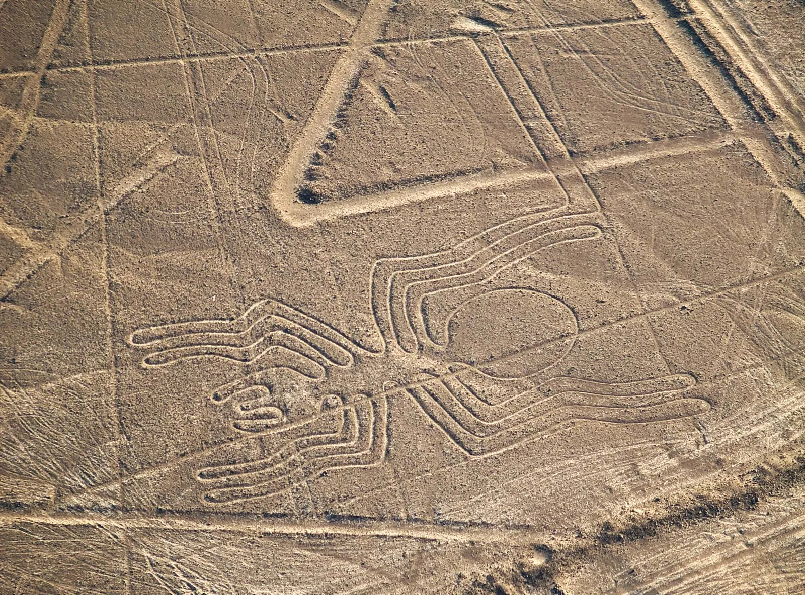 The Nazca Lines