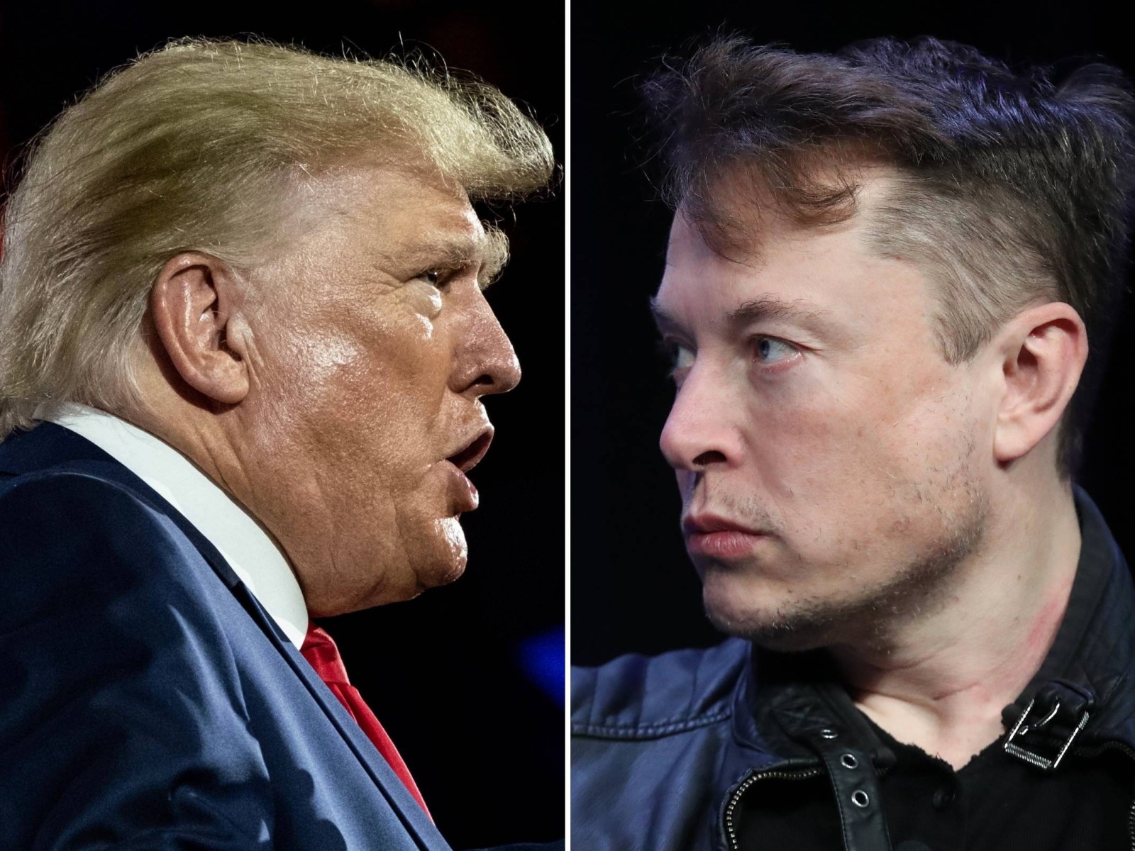 The Trump-Elon Saga