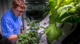 Growing Plants on the International Space Station (ISS)