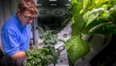 Growing Plants on the International Space Station (ISS)