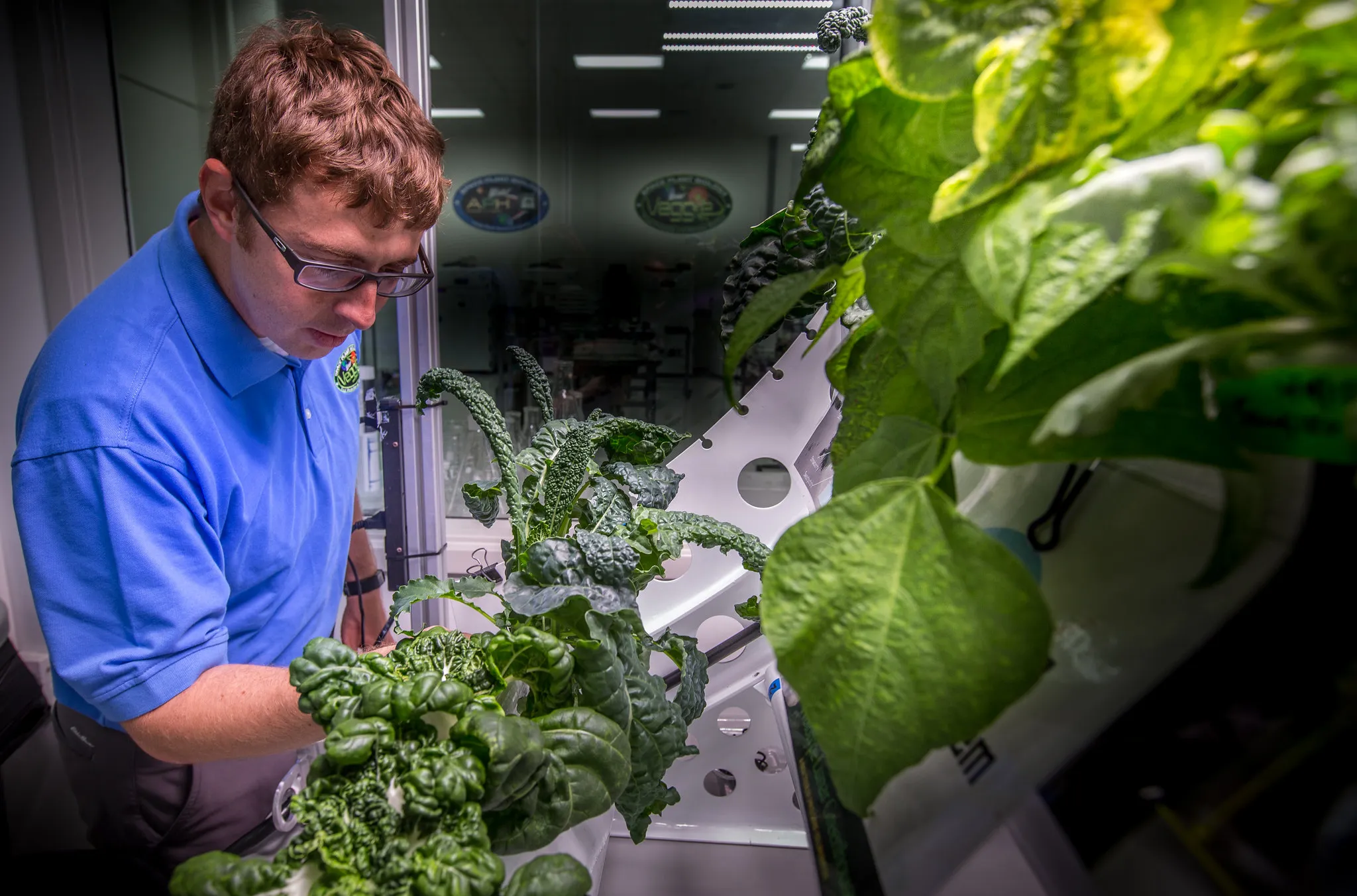 Growing Plants on the International Space Station (ISS)