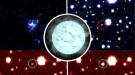 Teenage Vampire White Dwarf: A Cosmic Mystery