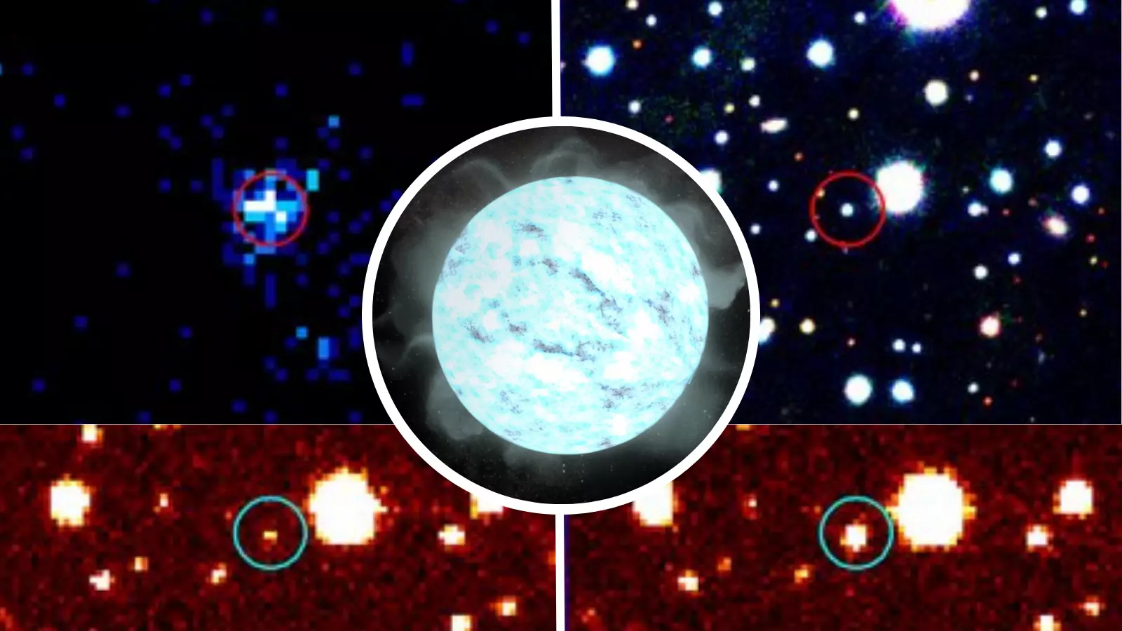 Teenage Vampire White Dwarf: A Cosmic Mystery