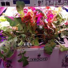 XROOTS