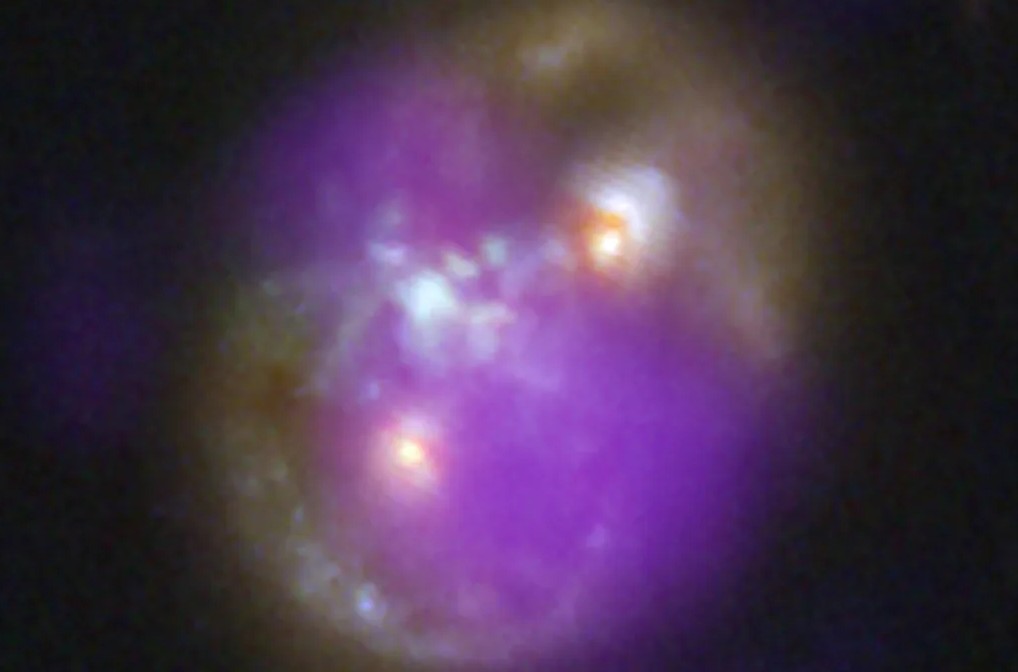 Infinity Galaxy: JWST Reveals Triple Black Hole System