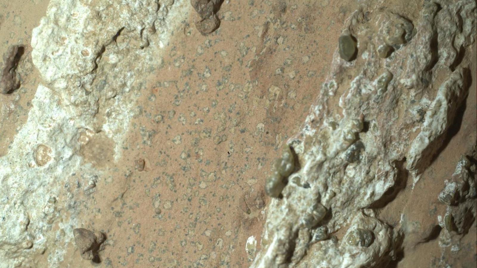 Perseverance Rover Finds Key Biosignature Rock in Hunt for Martian Life
