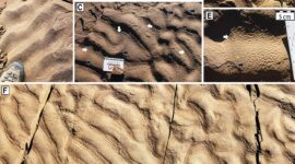 SCIENTIFIC BREAKTHROUGH: Ancient Microbial Life Discovered in Deep-Sea “Dark Zone”