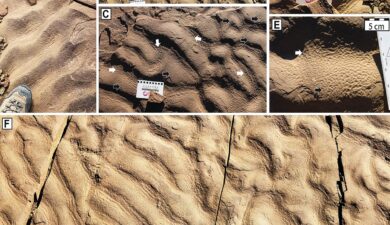 SCIENTIFIC BREAKTHROUGH: Ancient Microbial Life Discovered in Deep-Sea “Dark Zone”