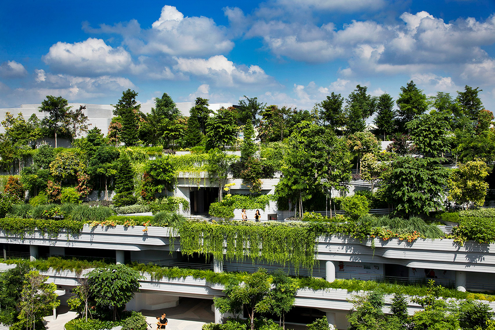 Singapore City in Nature