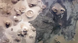 The Silent Sentinels of Harrat Khaybar: Uncovering the Enigma