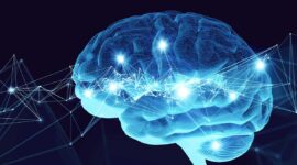 Neural Activity Restored After Cryogenic Arrest