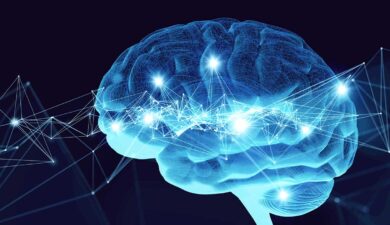 Neural Activity Restored After Cryogenic Arrest