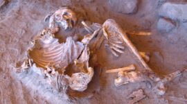 Ghost in the Sand: 7,000-Year-Old Sahara DNA Reveals Unidentified Human Lineage