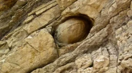 Scientists Baffled by Rocks That Lay Eggs Every 30 Years
