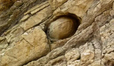 Scientists Baffled by Rocks That Lay Eggs Every 30 Years