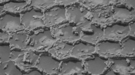 A Martian Honeycomb: Curiosity’s Latest Find Leaves Scientists Baffled