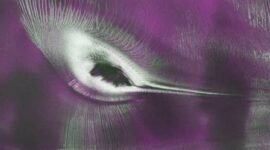 NISAR Satellite Captures Stunning ‘Hummingbird’ Crevasse Pattern in East Antarctica