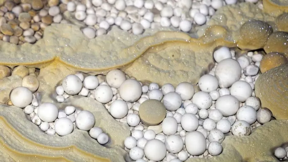 Cave Pearls Galore: Stunning New Cavern Unearthed in Vietnam