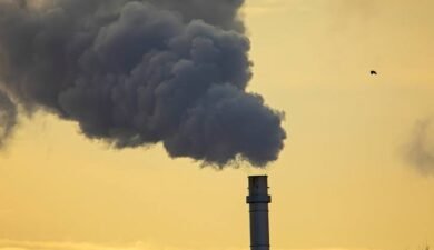 Multiple Breakthroughs Bring Direct Industrial CO2 Conversion Closer to Reality