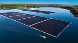 How a Dutch Floating Solar Farm Unexpectedly Boosted Aquatic Life