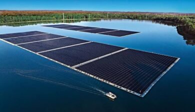 How a Dutch Floating Solar Farm Unexpectedly Boosted Aquatic Life