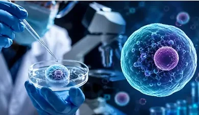 Scientists Successfully Engineer First Fully Synthetic Cell